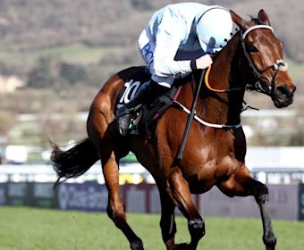 en-gb-champion-hurdle-imagery