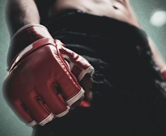 title reigns ufc